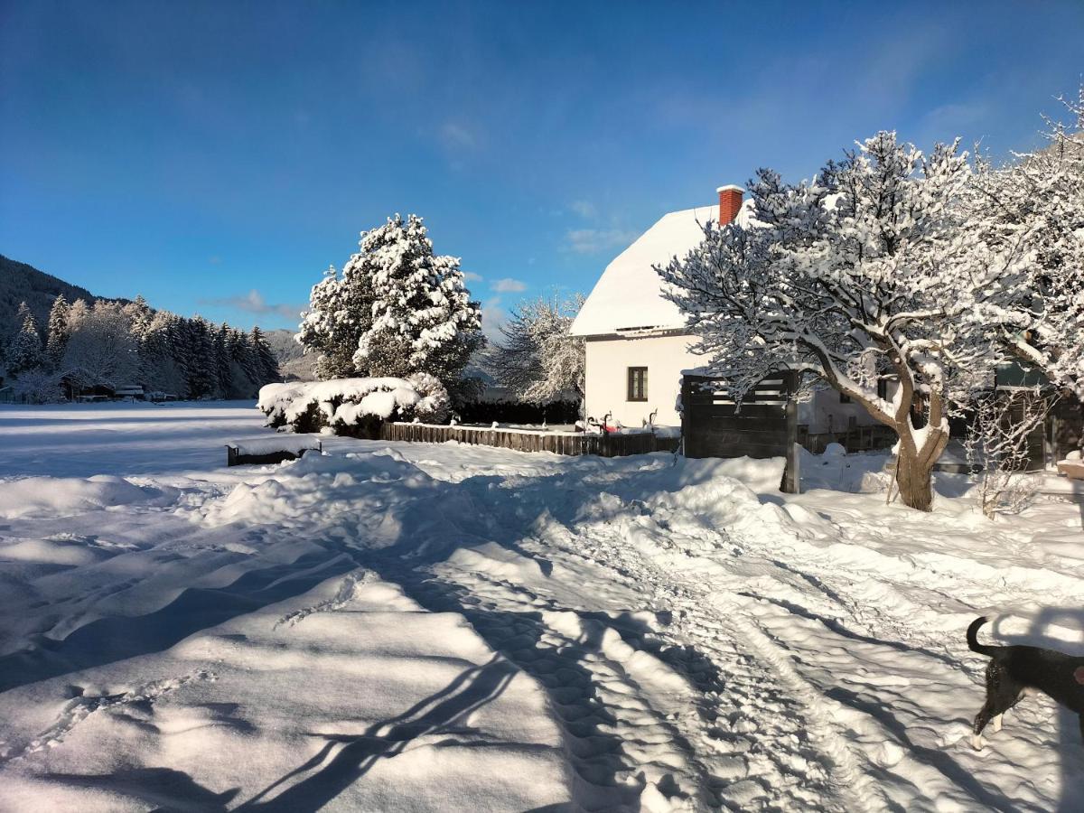Ferienhaus Georgie Apartment Teufenbach  Bagian luar foto