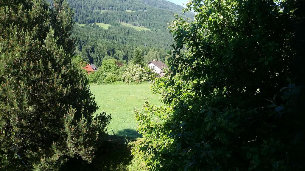 Ferienhaus Georgie Apartment Teufenbach  Bagian luar foto